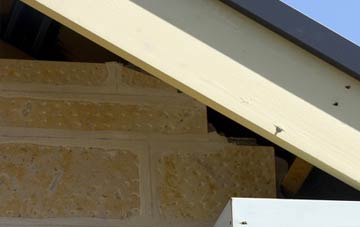 soffit repair Byker